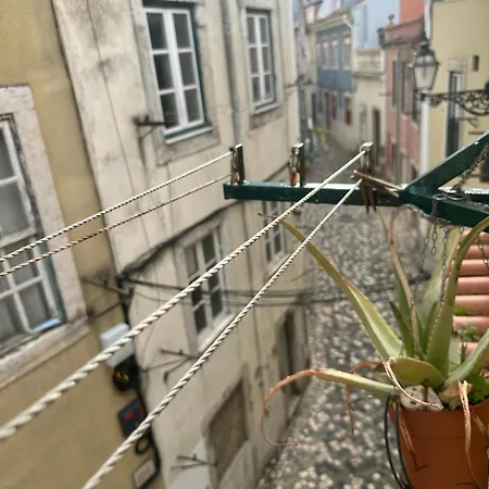 Francisca * 리스본
